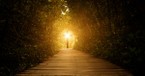 What Is the Doctrine of Irresistible Grace? Its Meaning and Significance